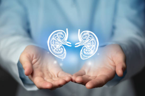 Best Kidney Failure Treatment in Powai
