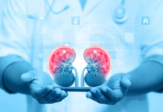 Best Nephrologist in Andheri
