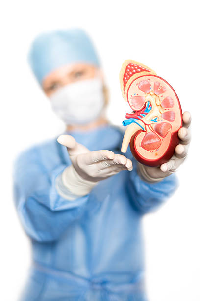 Best Nephrologist in Powai